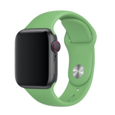 Ремінець для Apple Watch 42mm/44mm Silicone Watch Band Spearmint