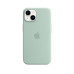 Чохол Apple iPhone 14 Silicone Case with MagSafe Succulent (MPT13) UA