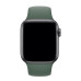 Ремінець для Apple Watch 42mm/44mm Silicone Watch Band Pine Green